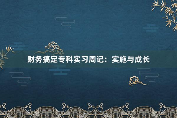 财务搞定专科实习周记：实施与成长